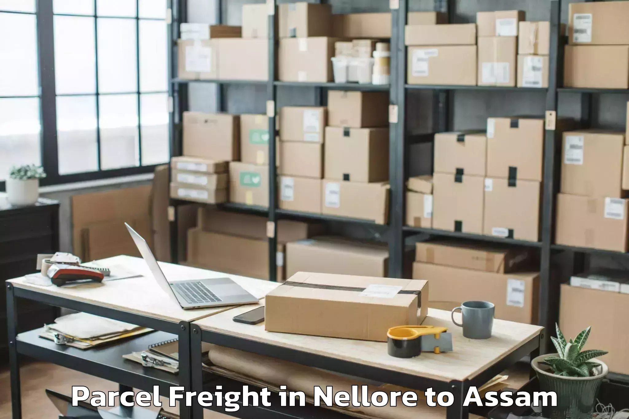 Book Nellore to Goshaingaon Parcel Freight